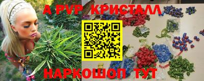 шишки Будённовск