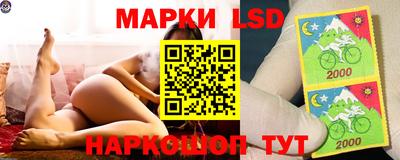 шишки Будённовск