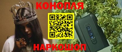 шишки Будённовск