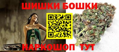 шишки Будённовск