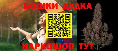 шишки Будённовск