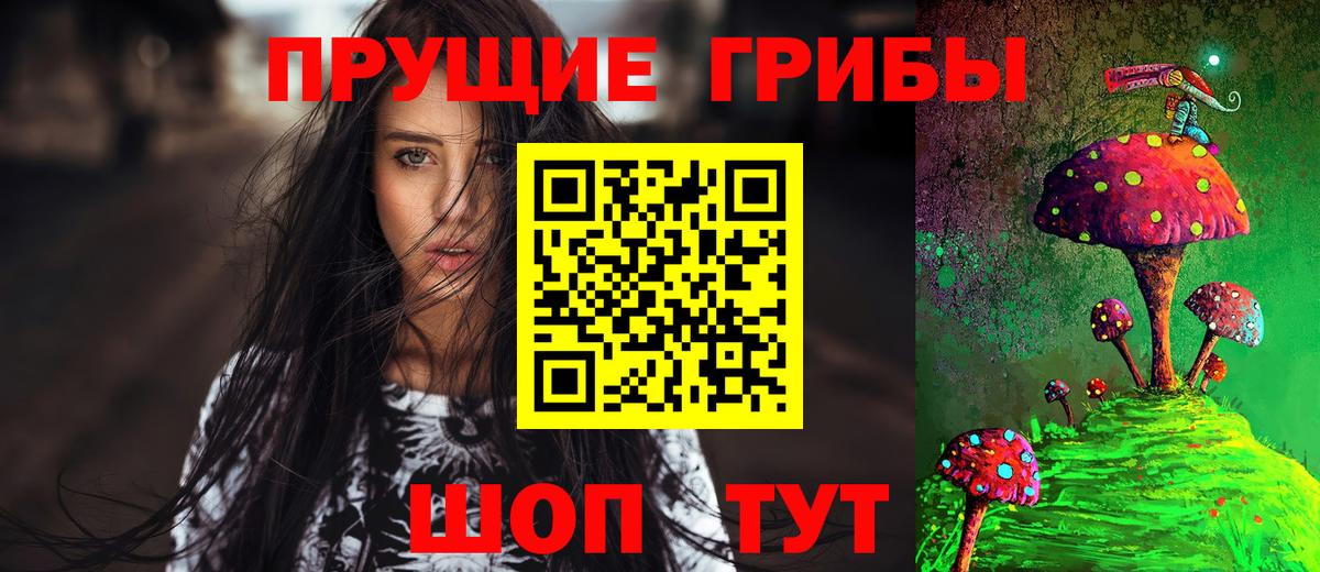 Псилоцибиновые грибы прущие грибы  Вход с VPN  хочу наркоту  Димитровград 