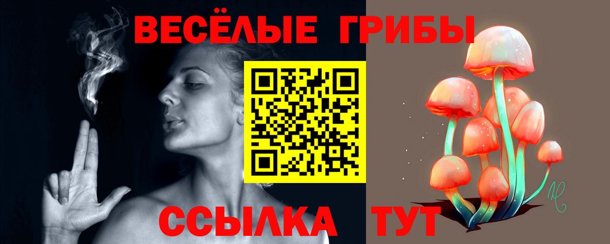ГАШИШ  ГАШИШ  LSD-25  COCAIN  Марихуана  Вход с VPN  Меф МЯУ МЯУ кристаллы  Купить наркотики  Димитровград  Конопля 
