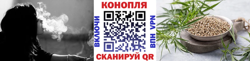 Шишки марихуана гибрид  Димитровград 